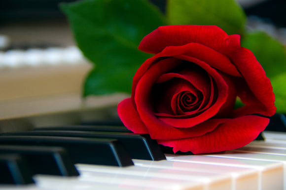 10 Timeless Romantic Solos for Valentine's Day