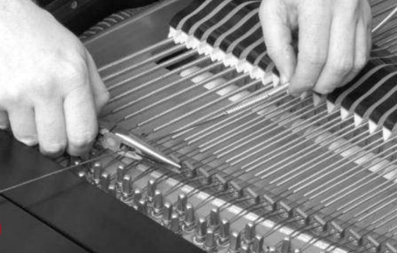 Schaff Universal Bass Strings Full Set 19 Fine String Series In